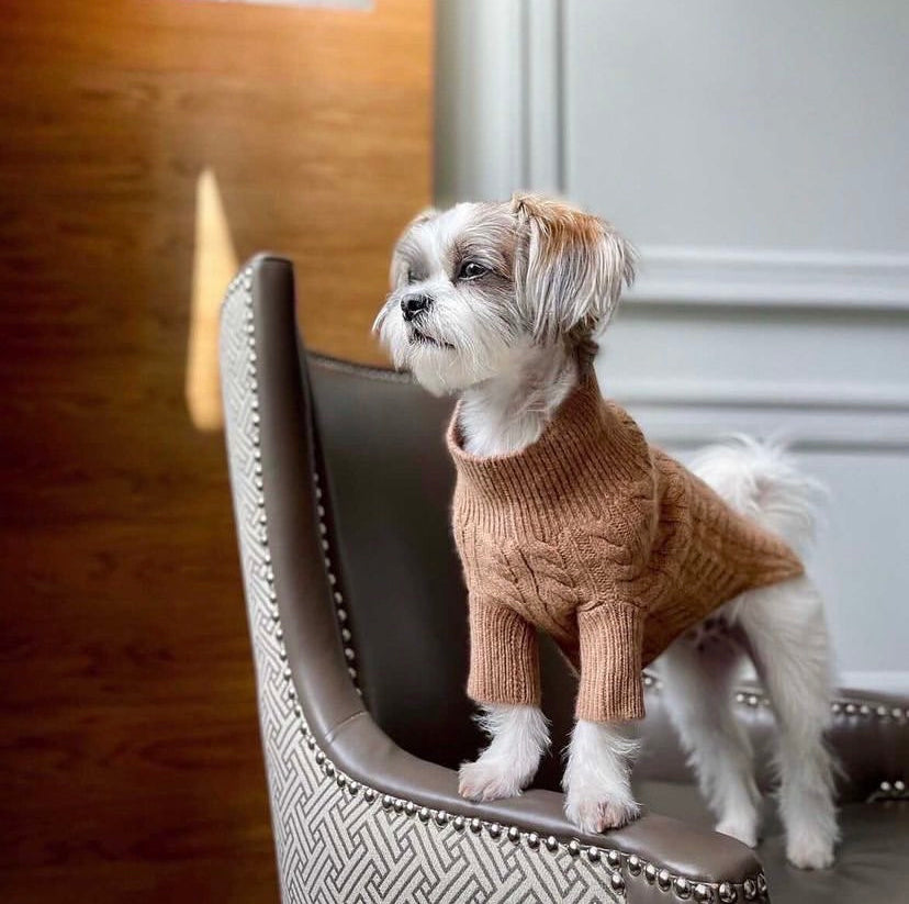 Cashmere Dog Sweaters, LUXURY DOG APPAREL